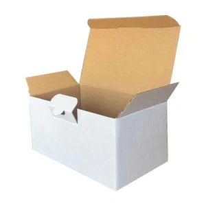 17,5x10x8,5cm Kilitli Kutu - Beyaz