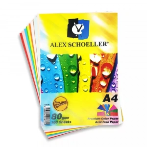 ALEX A4 RENKLİ 100 LÜ FOTOKOPİ KAĞIDI ALX-779
