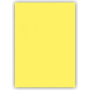 Alex Kolej Fon Kartonu 50x70 Limon Sarısı 160 Gr 100 Lü 1053