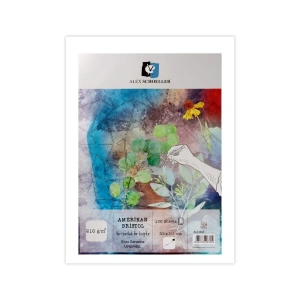 Alex Schoeller Bristol Kağıdı 210gr 35x50cm Amerikan ALX-0121