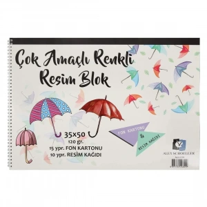 Alex Schoeller Çok Amaçlı Resim Defteri 120gr 35x50cm 25 Yaprak ALX 0299