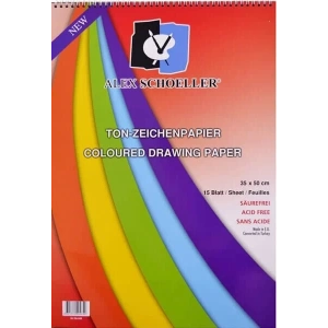 Alex Schoeller Fon Kartonu 35x50 Cm.120 Gr.15 Yp.Spiralli Blok (ALX-840)