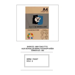 Alex Schoeller Fotokopi Kağıdı Renkli A4 500lü 550 Somon