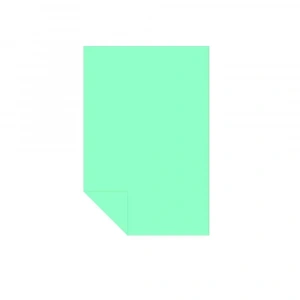 Alex Schoeller Kolej Fon Kartonu 35x50 cm No:04 Fıstık Yeşili 100lü