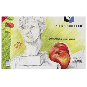 Alex Schoeller Resim Defteri Spiralli 120gr 50x70cm 20 Yaprak