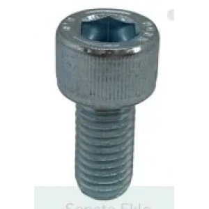 Alyan Başlı Makine Teker Vidası (Kısa) / M10x20mm