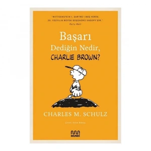 Başarı Dediğin Nedir, Charlie Brown?