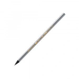 Bic Evolution Black Kurşun Kalem 896017
