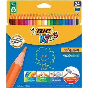 BİC EVOLUTION KURU BOYA 24 LÜ