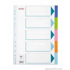 Bigpoint 5 Renkli Seperatör