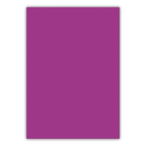 Bigpoint A4 Cilt Kapağı 150 Mikron Opak Mor 100lü Paket