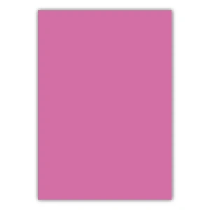 Bigpoint A4 Cilt Kapağı 150 Mikron Opak Pembe 100lü Paket