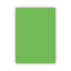 Bigpoint Fon Kartonu 50x70cm 120 Gram Açık Yeşil