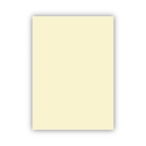 Bigpoint Fon Kartonu 50x70cm 120 Gram Fildişi