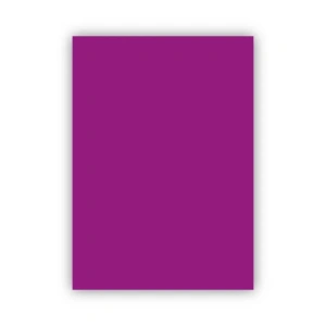 Bigpoint Fon Kartonu 50x70cm 120 Gram Mor