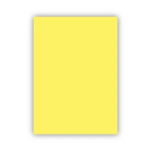 Bigpoint Fon Kartonu 50x70cm 120 Gram Sarı