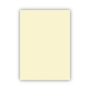 Bigpoint Fon Kartonu 50x70cm 160 Gram Fildişi