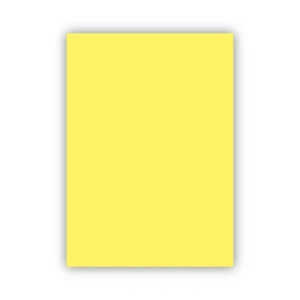 Bigpoint Fon Kartonu 50x70cm 160 Gram Sarı