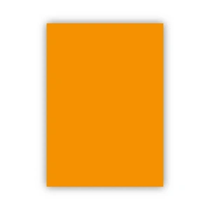 Bigpoint Fon Kartonu 50x70cm 160 Gram Turuncu