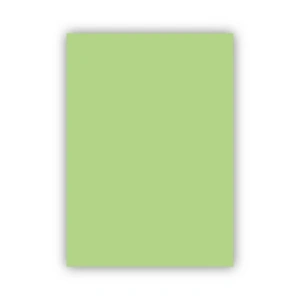 Bigpoint Fon Kartonu 50x70cm 160 Gram Uçuk Yeşil