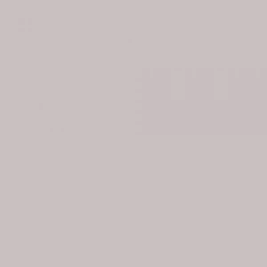 Cadence Hybrid Acrylic For Multisurfaces Tüm Yüzeyler İçin Akrilik Boya 120ml H076 Palamo