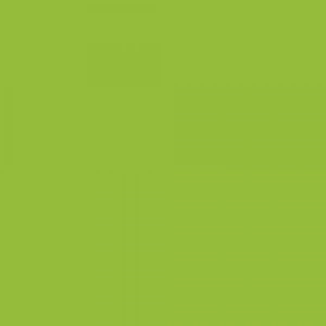 Cadence Premium Akrilik Boya 120ml 1295 Fıstık