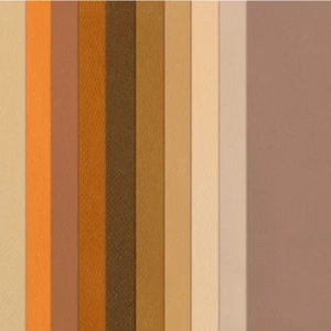 Canson 50x65 160g Fon Kartonu 10lu Kahve Tonlar