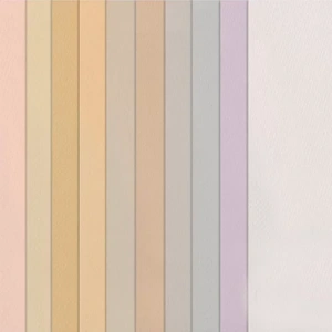 Canson 50x65 160g Fon Kartonu 10lu Pastel Tonlar