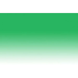 Chameleon Marker Gr3 Grass Green