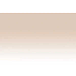 Chameleon Marker NU00 Nude