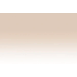 Chameleon Marker NU3 Fawn