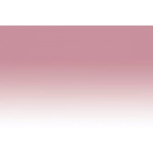 Chameleon Marker Pk2 Dusty Rose