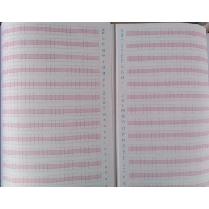 ÇINAR 17x24 40 YP STANDART GÜZEL YAZI DEFTERİ RENKLİ DİK ÇİZGİLİ 24017