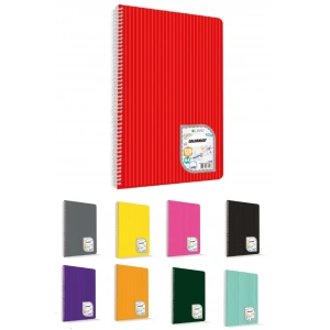 Çınar Defter Spiralli (Telli) Pp Kapak 5 Ortalı 120 Yaprak Çizgili A4 Büyük