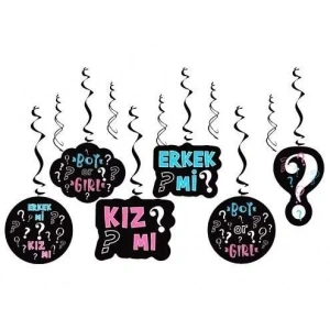 Cinsiyet Partisi 6 Lı Asma Tavan Süsü