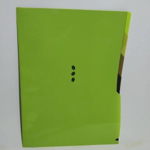 Comix L Dosya A4 4 Lü Florasan Renkler A7434