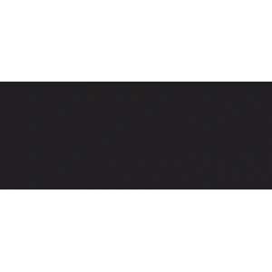 Copic Marker No:110 Special Black