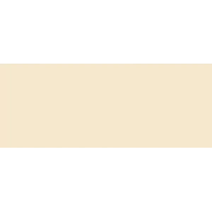 Copic Marker No:e53 Raw Silk