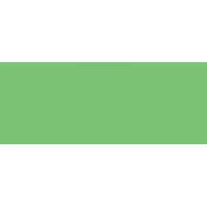 Copic Marker No:g07 Nile Green