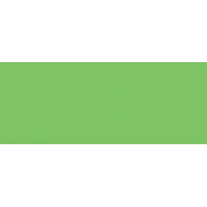 Copic Marker No:g09 Veronese Green