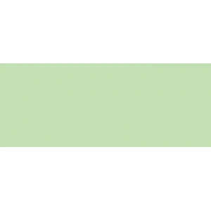 Copic Marker No:g24 Willow