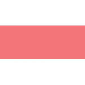 Copic Marker No:r24 Prawn