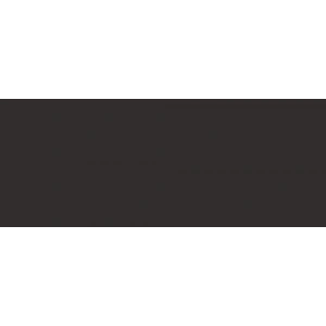 Copic Sketch Marker 100 Black