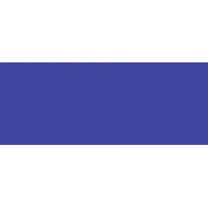 Copic Sketch Marker B79 Iris