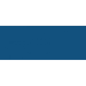 Copic Sketch Marker B99 Agate