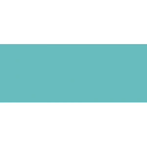 Copic Sketch Marker Bg57 Jasper