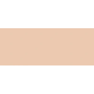 Copic Sketch Marker E23 Hazelnut