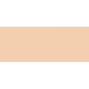 Copic Sketch Marker E33 Sand