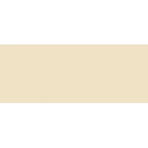 Copic Sketch Marker E55 Light Camel