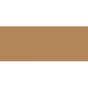 Copic Sketch Marker E57 Light Walnut